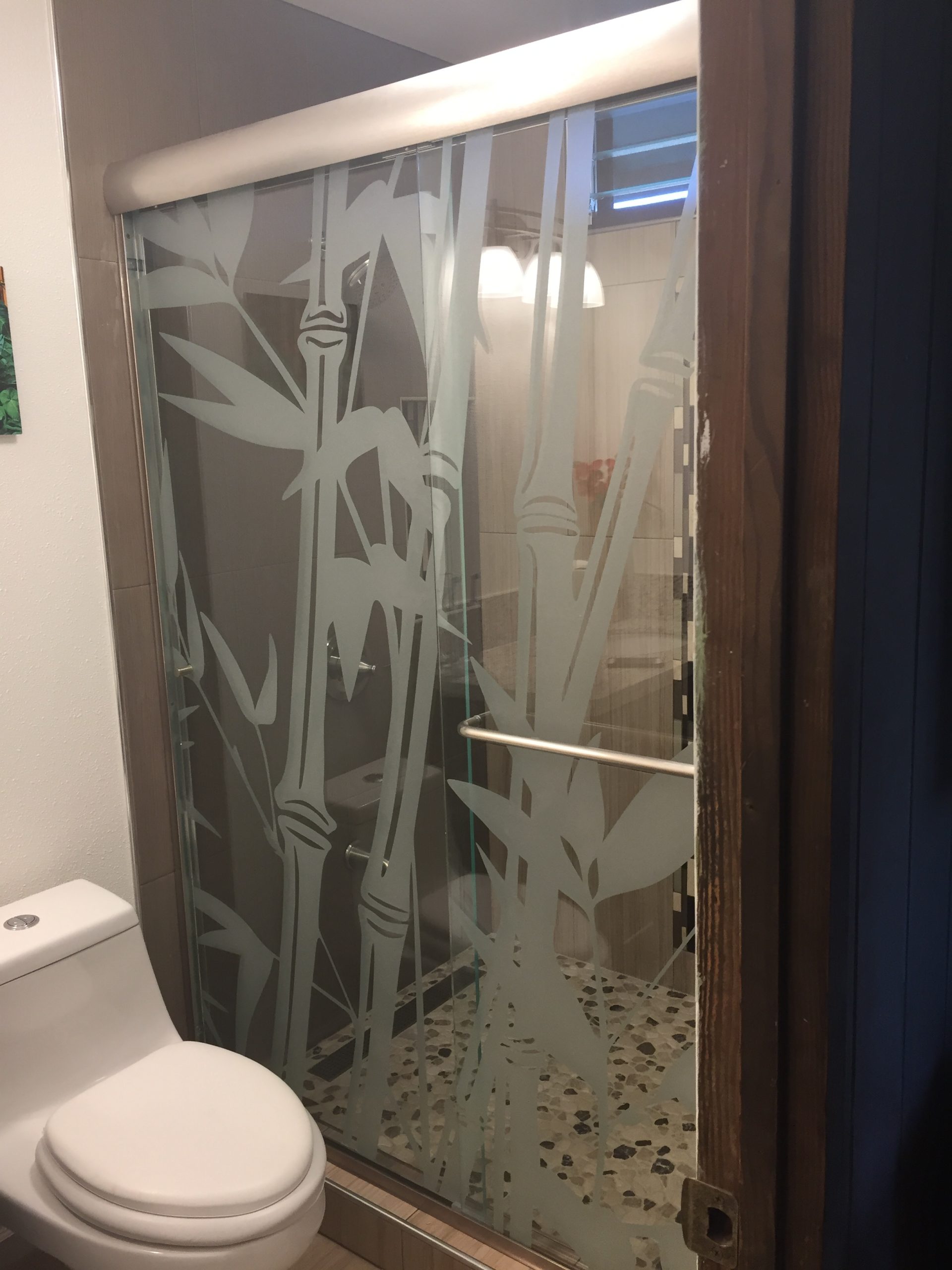 29 Partial Private Shower doors 1
